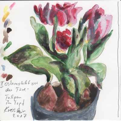 tulpen im topf 15x15cm aquarell